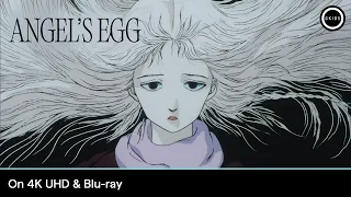 ANGEL'S EGG | On 4K UHD & Blu-ray