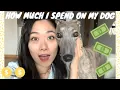HOW MUCH DOES IT COST TO OWN A DOG IN NYC AND ELSEWHERE PET BUDGET COSTS