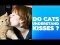 Do Cats Understand Kisses Uncover the Truth