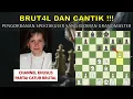 Download Lagu BRUT4L DAN CANTIK !!! PENGORBANAN SPEKTAKULER SANG WOMAN GRANDMASTER