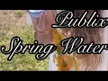 Why you should buy publix spring water Publix