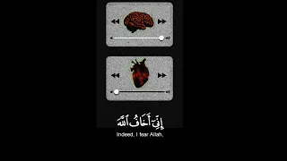 قرآن راحة نفسية ستوريات قران كريم قرآن حلات واتس اب ستوري أنستغرام قران قرآن مقاطع قصيرة 