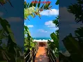 Download Lagu BEAUTIFUL NATURE , BEAUTIFUL ISLAMIC SOUND , RAMADAN , #shorts #shortvideo #ramadan #ramzanmubarak