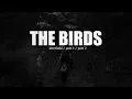 The Birds (The Weeknd) - All Parts Combined (Interlude, Pt1, Pt2 Extended)