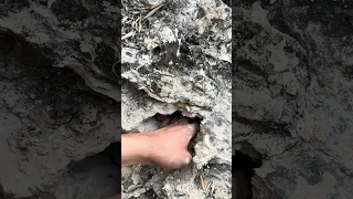 Treasure hunting