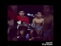 Download Lagu Zhivilia-aishiteru 2 cover