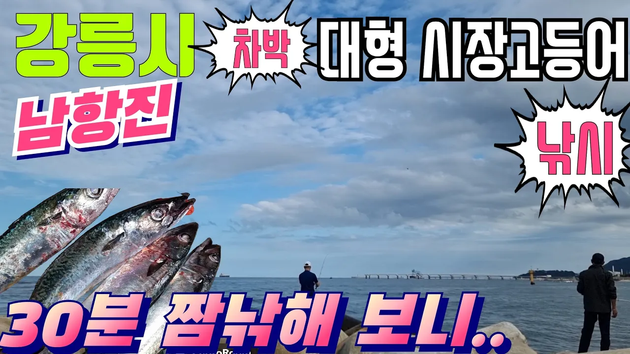 関連動画 サムネイル