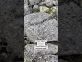 Download Lagu Готовы увидеть северное мощное завораживающее Баренцево море? Вот оно #туры #баренцевоморе #мурманск