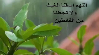 دعاء الغيث و المطر اللهم اسقنا الغيث ولا تجعلنا من القانطين 