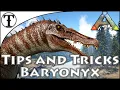 Fast Baryonyx Taming Guide Ark Survival Evolved Tips and Tricks