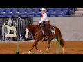 2024 AQHA Versatility Ranch Horse World Championship Show - Amateur Ranch Riding