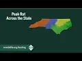 NC Wildlife Peak of the Rut Across North Carolina