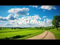 sam barber - thought of you (lyrics)