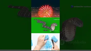 اذاي الثعبان بيتحرك من دون رجل اكتشف السر المدهش معرفة ثعبان الحياة على الأرض Facts اكسبلور 