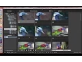 Canon Digital Photo Professional DPP 4 Managing Files