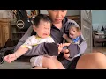 Download Lagu Monkey David bites the baby's hand making the baby cry loudly and Dad is worried