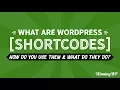 What Are WordPress Shortcodes How Do You Use Them And What Do They Do