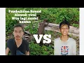 Download Lagu pembuktian sound biawak asli woy lagi santai kawan viral di tiktok #soundbiawak #woylagisantaikawan