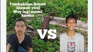 pembuktian sound biawak asli woy lagi santai kawan viral di tiktok soundbiawak woylagisantaikawan