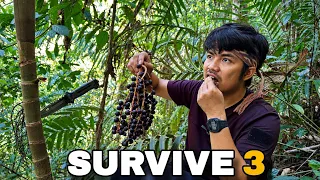 Surviving in the Wild Relying on Foraged Forest Food