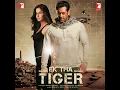 Mashallah - Wajid & Shreya Ghoshal
