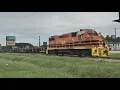 South Carolina Central RR at Cashua Dr in Florence SC