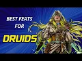 Best Feats for Druids in D D 5e