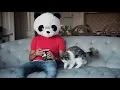 Download Lagu Nick De La Hoyde - Animals (Official Music Video)
