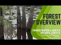 Francis Marion Sumter National Forests Forest Overview