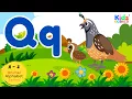 Letter Q Animals that Start with Q Learn Animal Names English Vocabulary for Kids