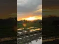 Download Lagu story wa vibes sawah keren