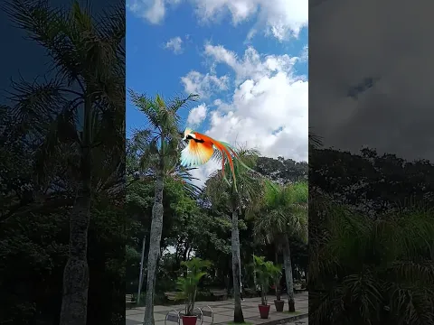 Recibe los milagros que el universo tiene para ti hoy 💸🍀 ¡Tu momento llegó!