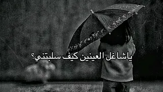 غزلية يا شاغل العينين كيف سلبتني  غزلية يا شاغل العينين كيف سلبتني