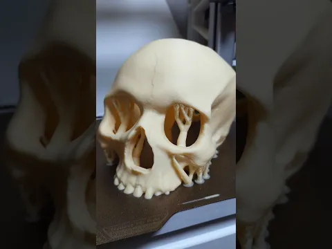 Декорации для террариума на 3D принтере! #Creality #i7nano #3d #3dпечать