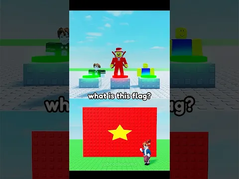 what is this flag🇻🇳