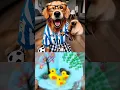 Download Lagu Chihuahua blaming everyone 😂 Sound ​⁠#GamerChadPlays #memes