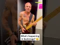 Download Lagu RHCP pre-show preparations (part 1) #redhotchilipeppers #rhcp #shorts