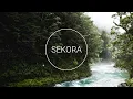 Massane feat. Colouring - Wild