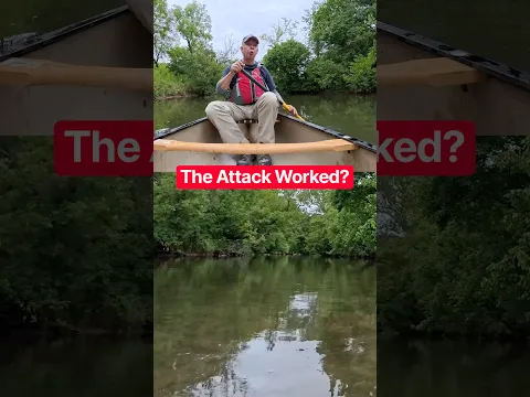 Wait . . . The attack on Burnside Bridge was a success??