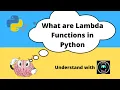 what are functions in python Python basics series for beginners 11