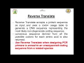 Bioinformatics Training Reverse Translation