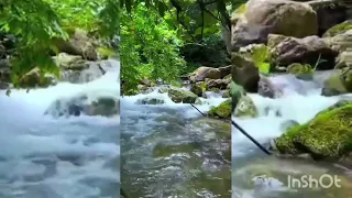                                                    دندنها