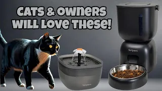 Spoil your Cat Sarpaws Automatic Feeder Waterer Review