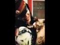 Kat Von D from LA ink Hot Pictures