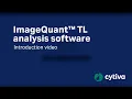 ImageQuant analysis software - Introduction
