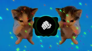 dj kicau kicau kicau mania slow viral tiktok full song maman fvndy 2026