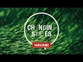 DEEP SLEEP PRAIRIE RAIN | 12 Hour Dark Screen Audio Immersion | Sleep/ Relax/ Calm Anxiety