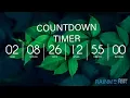 How to Make a Day Countdown Using Rainmeter VELONYX TEC Tutorial
