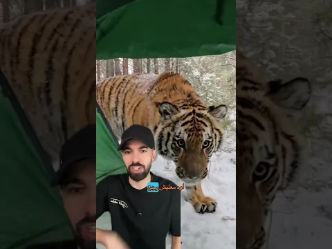 معليش عدوها هذه المرة