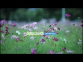 Bob Seger - Against the Wind play along with scrolling lyrics and guitar chords